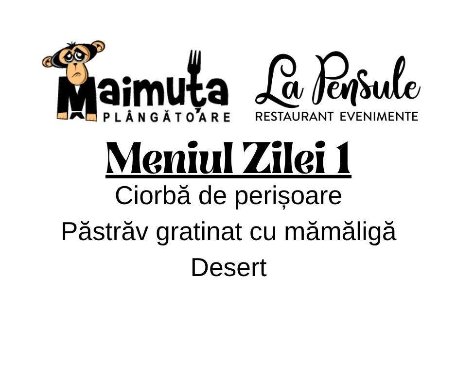 Prânzul Maimuței 1 - Preluam comenzi  intre  orele 10.00- 11.30