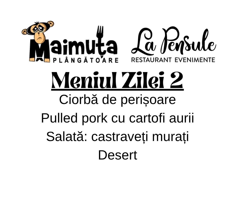 Prânzul Maimuței 2 - Preluam comenzi intre orele 10.00 - 11.30