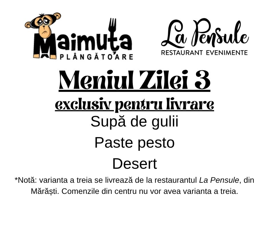 Prânzul Maimuței 3 - Preluam comenzi intre orele 10.00-11.30