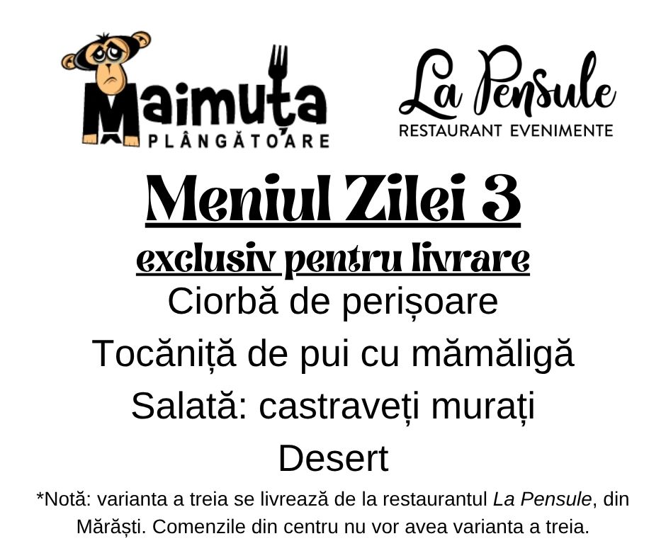 Prânzul Maimuței 3 - Preluam comenzi intre orele 10.00-11.30