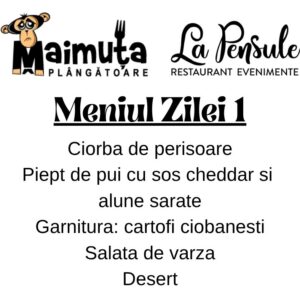 Prânzul Maimuței 1 - Preluam comenzi  intre  orele 10.00- 11.30