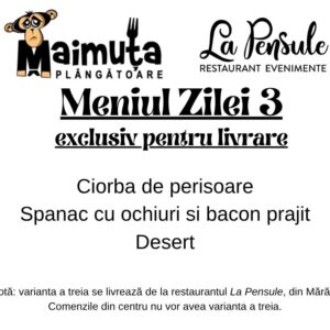 Prânzul Maimuței 3 - Preluam comenzi intre orele 10.00-11.30