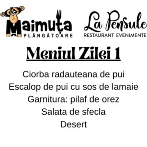 Prânzul Maimuței 1 - Preluam comenzi  intre  orele 10.00- 11.30